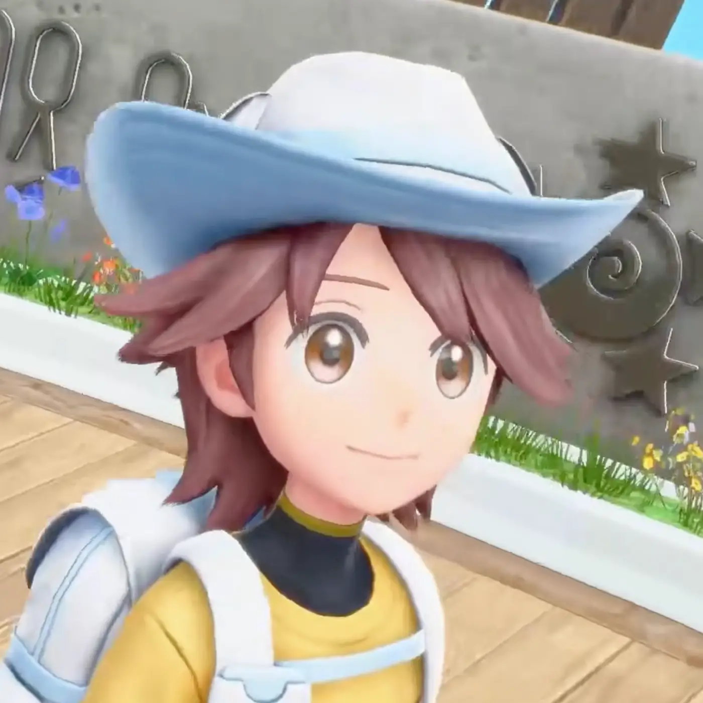 Male protagonist &mdash; Pokémon Winds and Waves